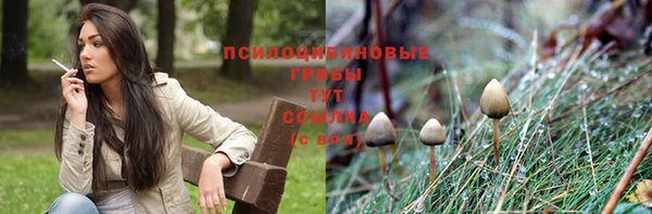 круглые Алексеевка